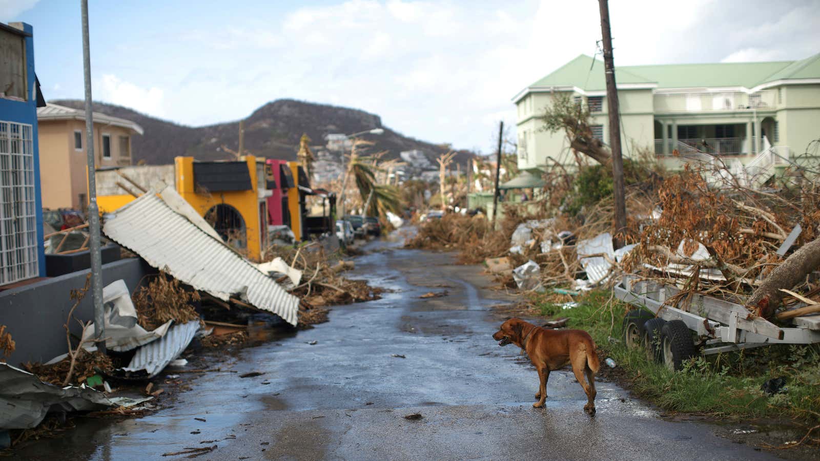 Total destruction on St. Martin after Hurricane Irma tore through.