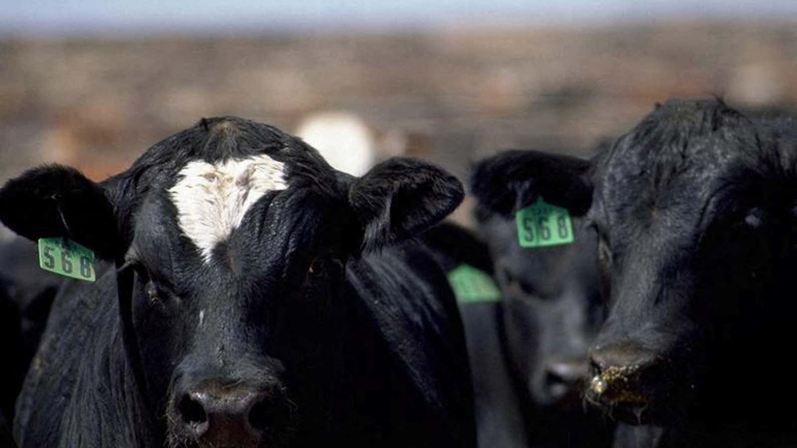 Methane from livestock burps and farts is not covered by the new fee.