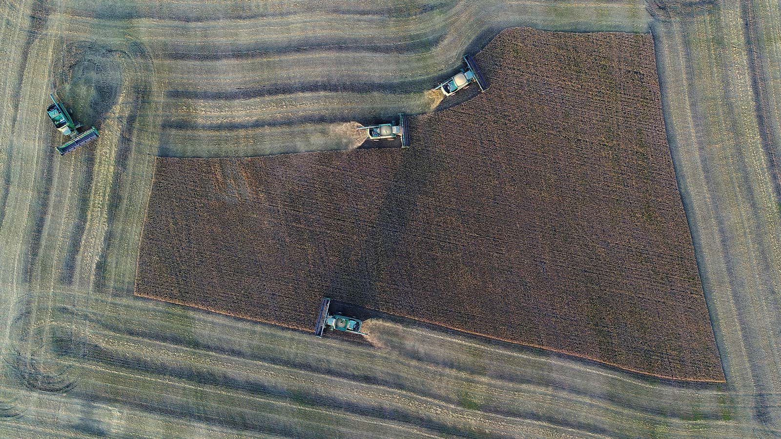 A barley field outside the Siberian village of Talniki in Krasnoyarsk Region, Russia .