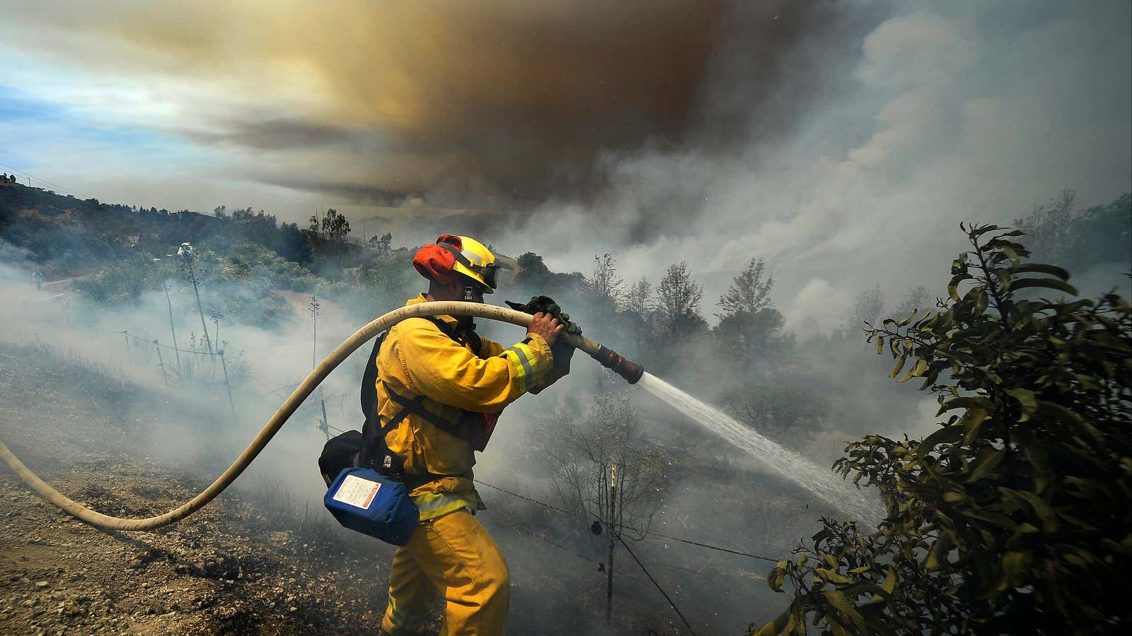 On the Fireline: Living and Dying with Wildland Firefighters, Desmond