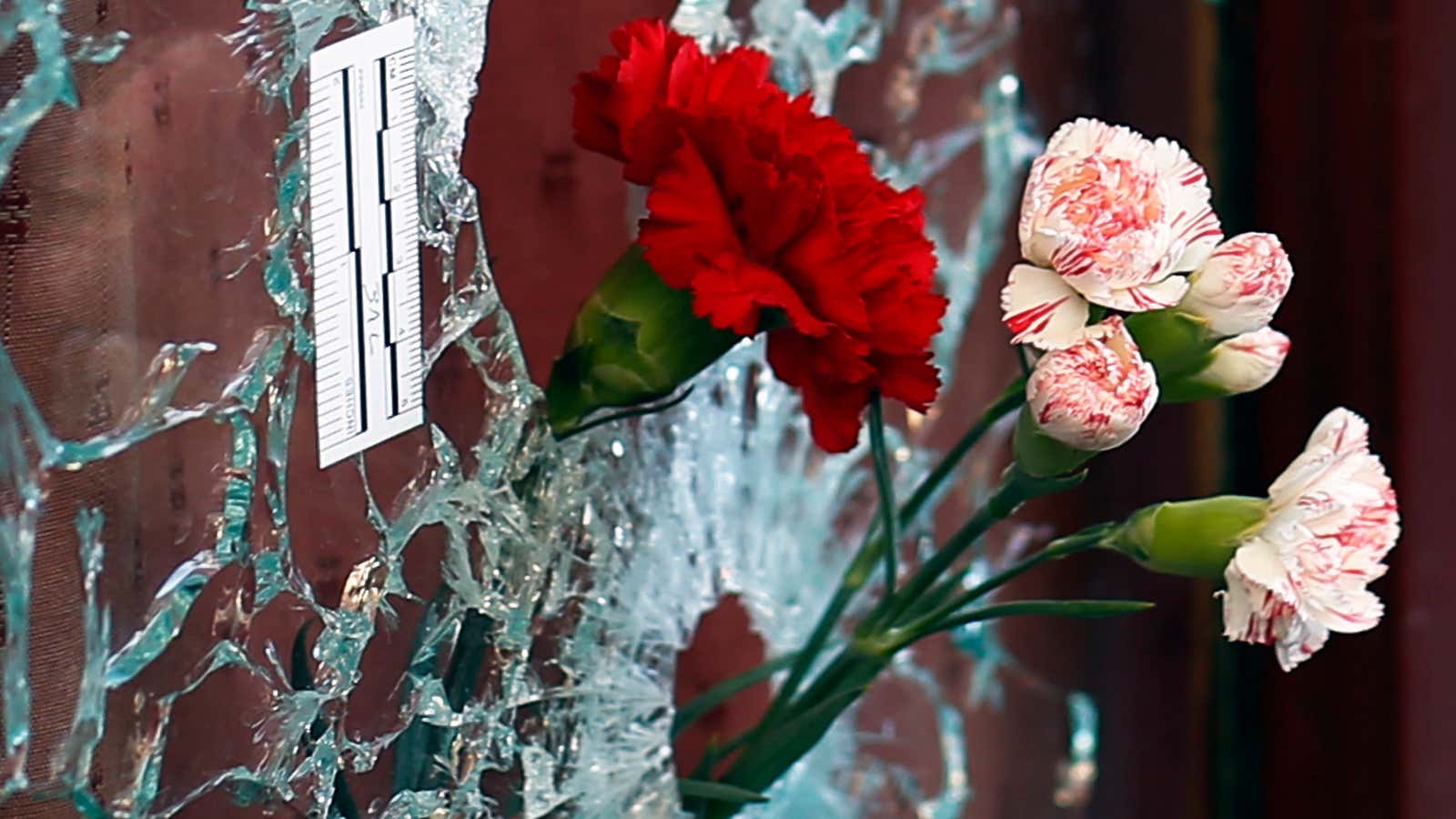 Flowers in a window shattered by a bullet at the Carillon cafe in Paris, France.