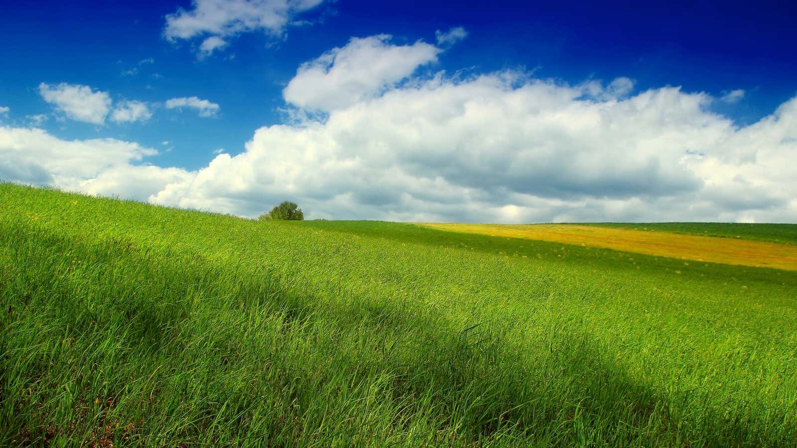 This could be the view from your living room.