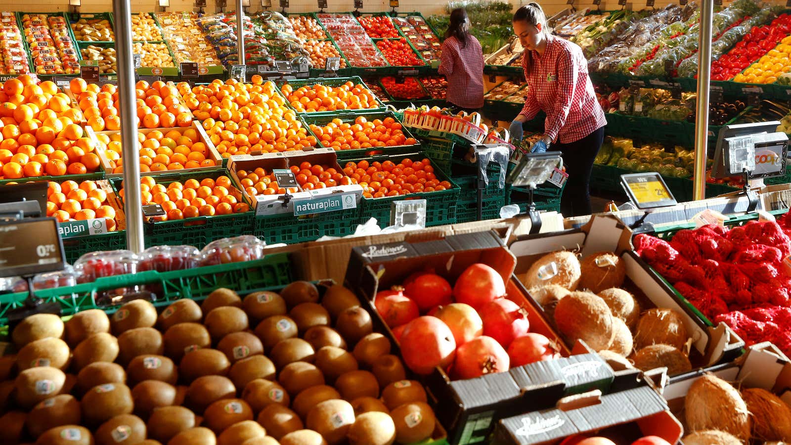 Organic shoppers—innocent and sustainable, or environmental foes?