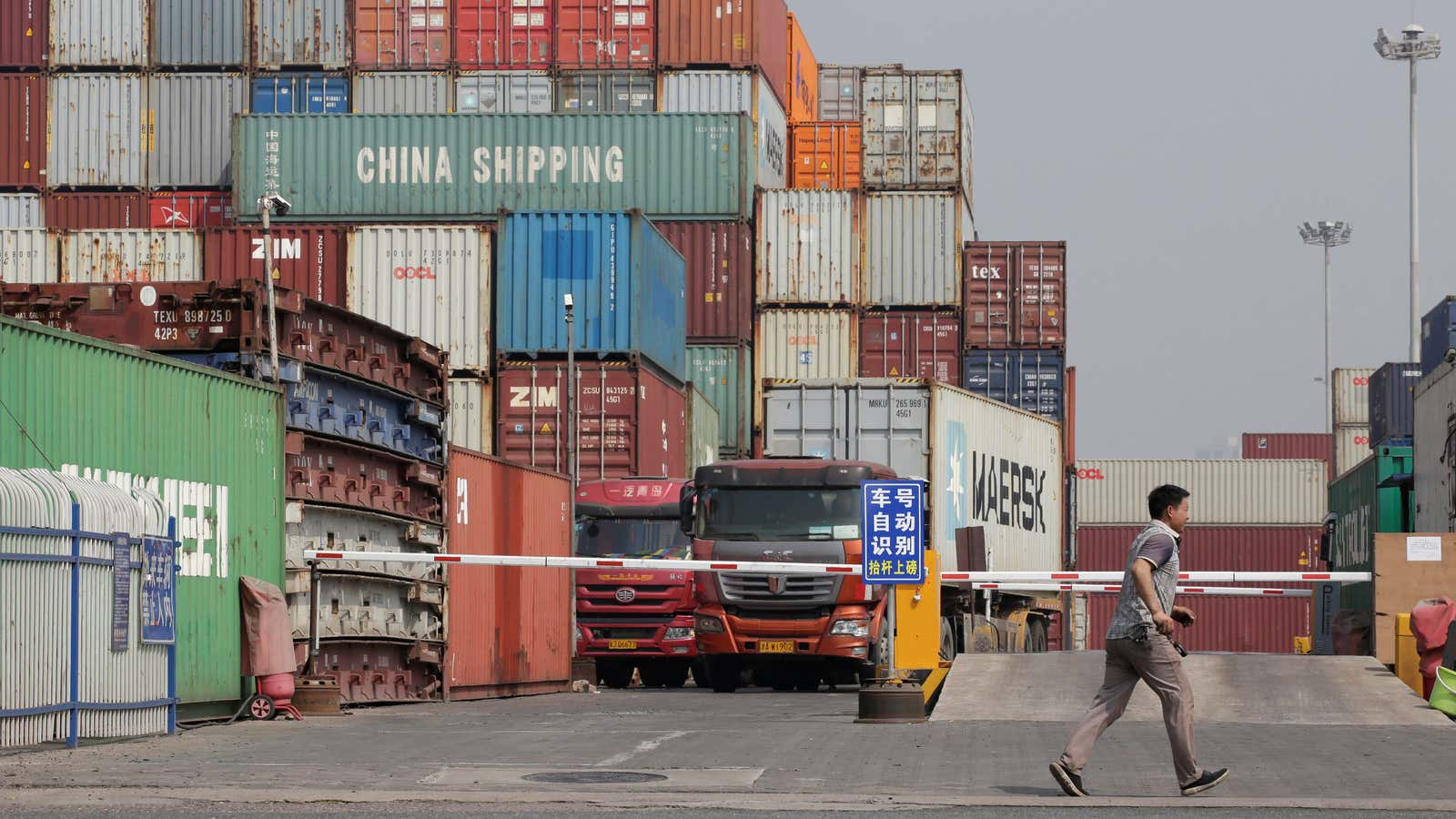 The US-China trade war threatens the global economy: OECD