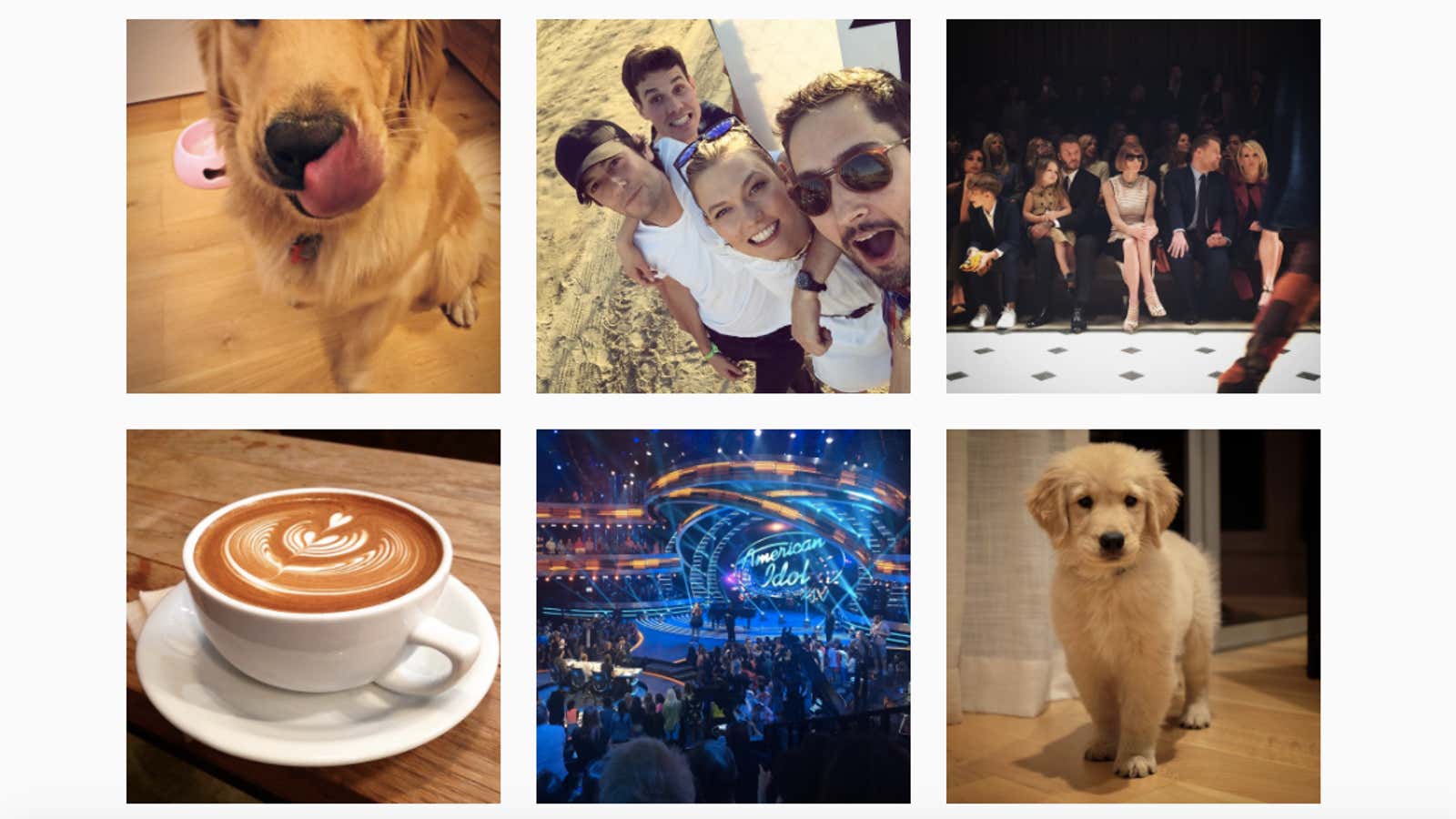 Dogs, latte art, and selfies, man.