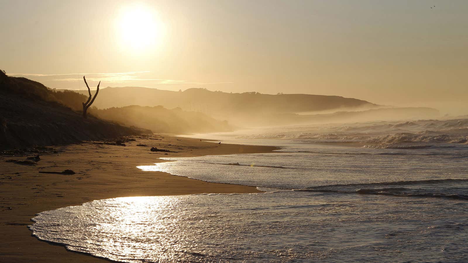 New Zealand: Not a bad place to wind up.