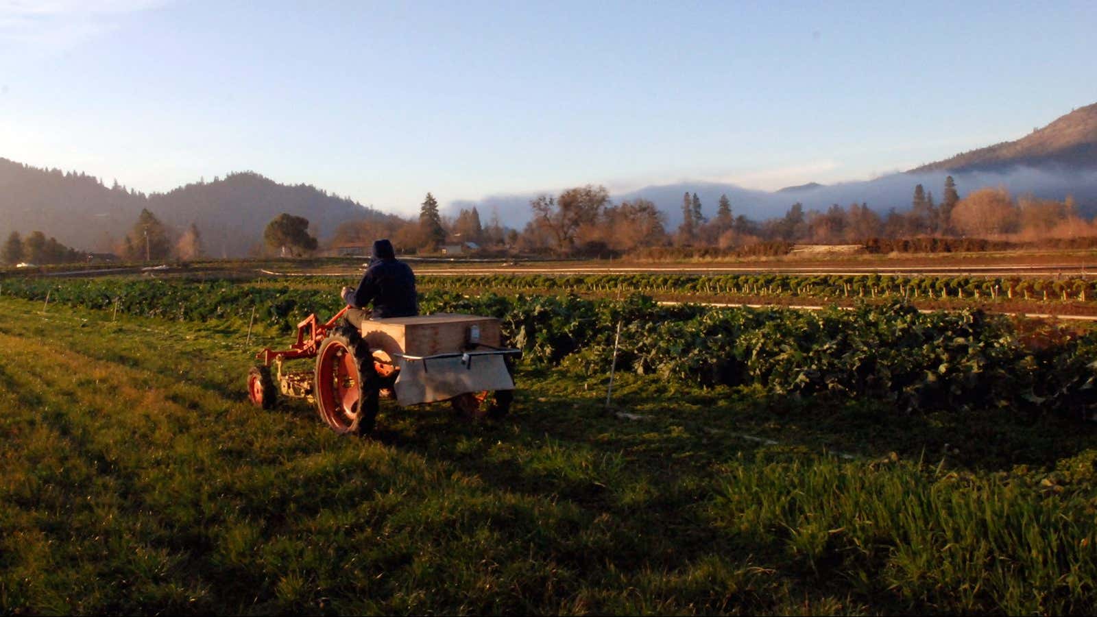 Chris Jagger drives back to the barn on his 1940s vintage Allis-Chalmers Model G tractor at his Blue Fox Farm near Applegate, Ore., on Nov.…