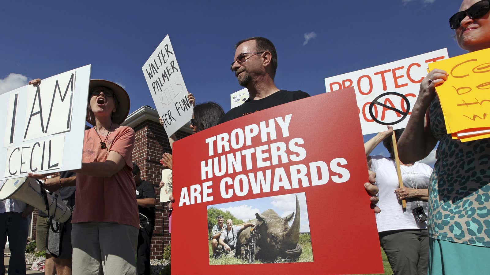 Protestors outside Walter Palmer’s office in Minnesota are under attack themselves.