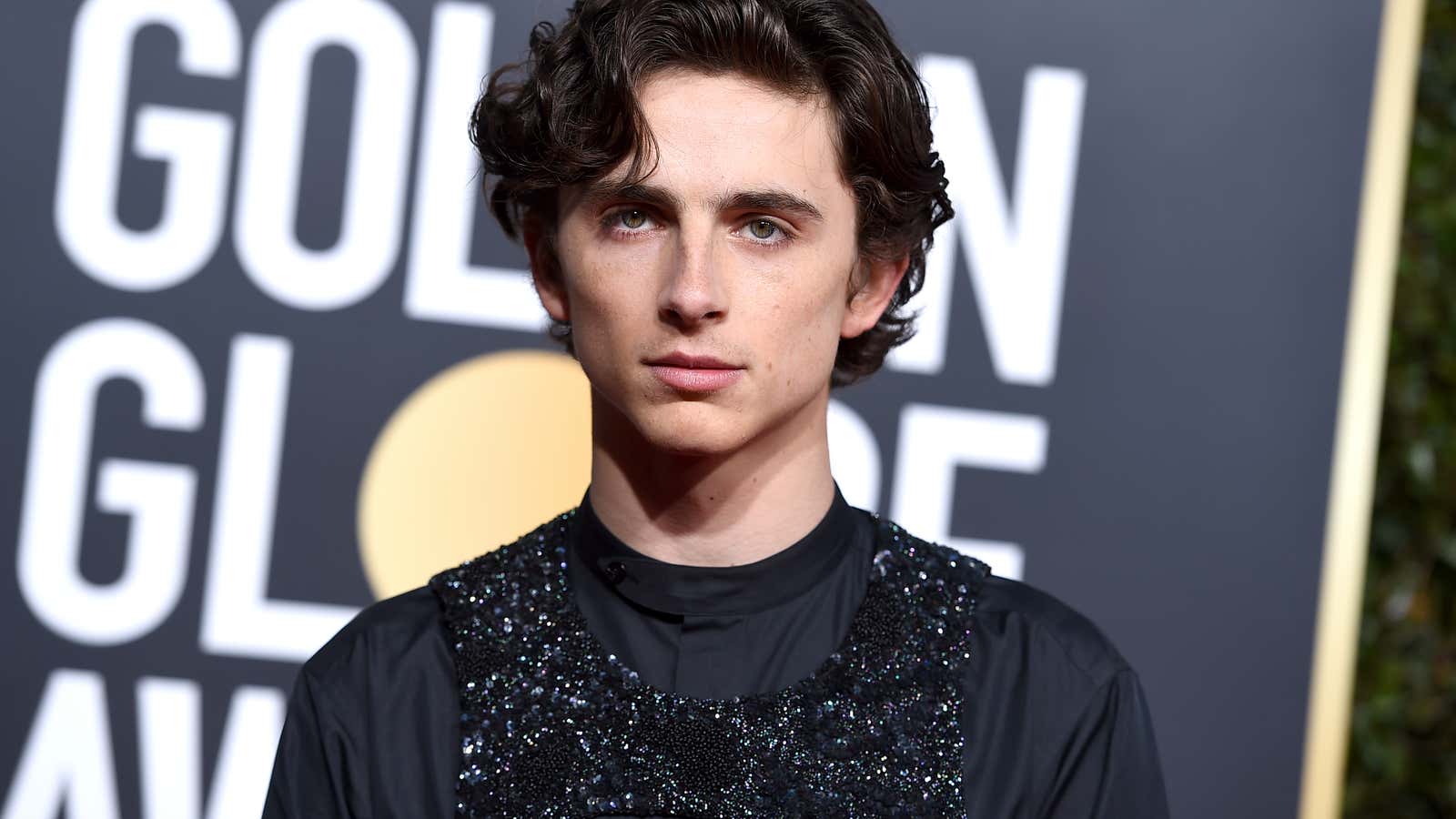 Timothée Chalamet Golden Globes 2019 Look