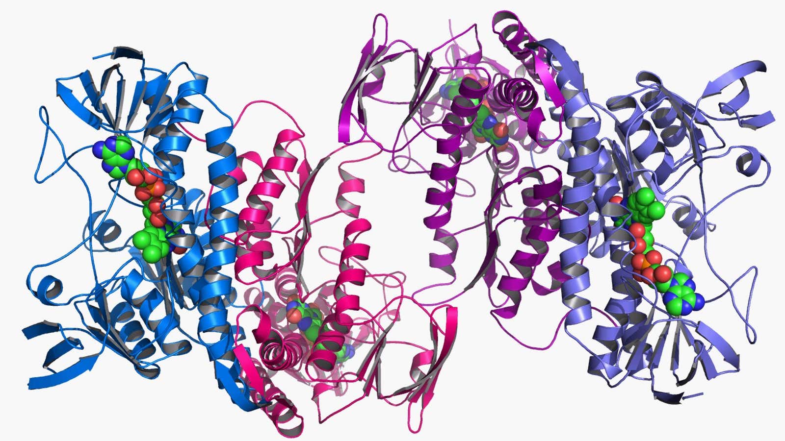 Molecules of life.