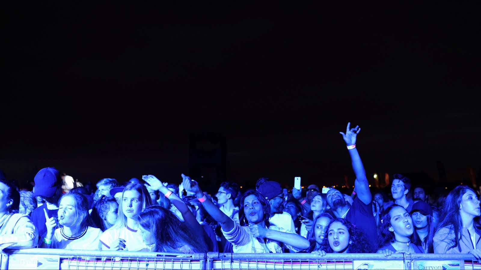 Revellers attend the Live Loud music festival in Cape Town, South Africa, September 24, 2016.