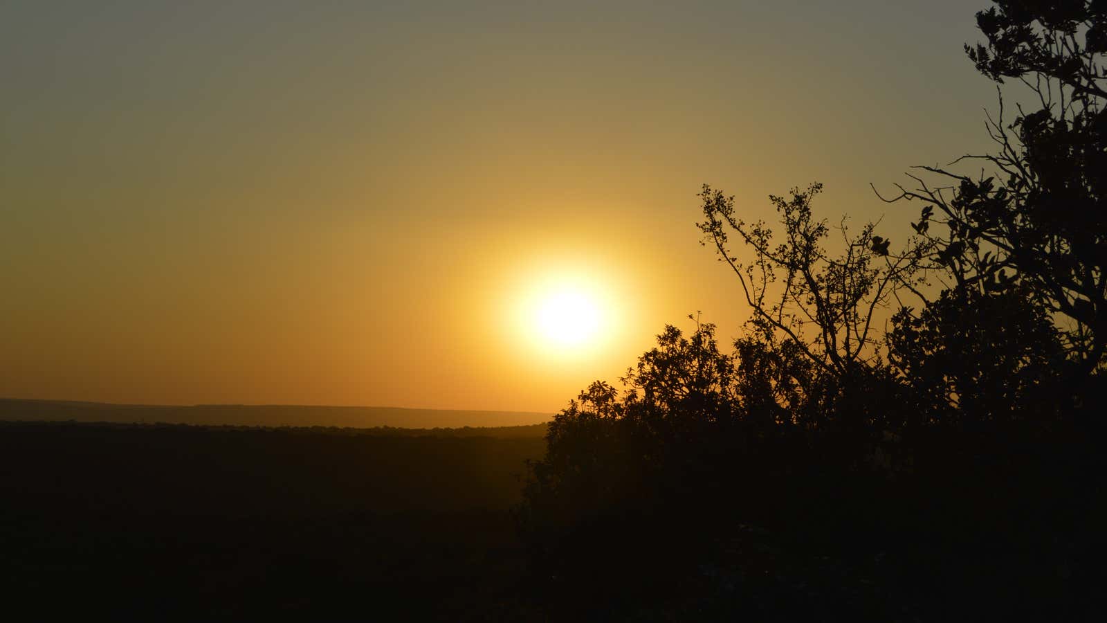 The sunsets over Vryburg, a large farming town which once hosted the premier German intelligence organization in wartime South Africa.