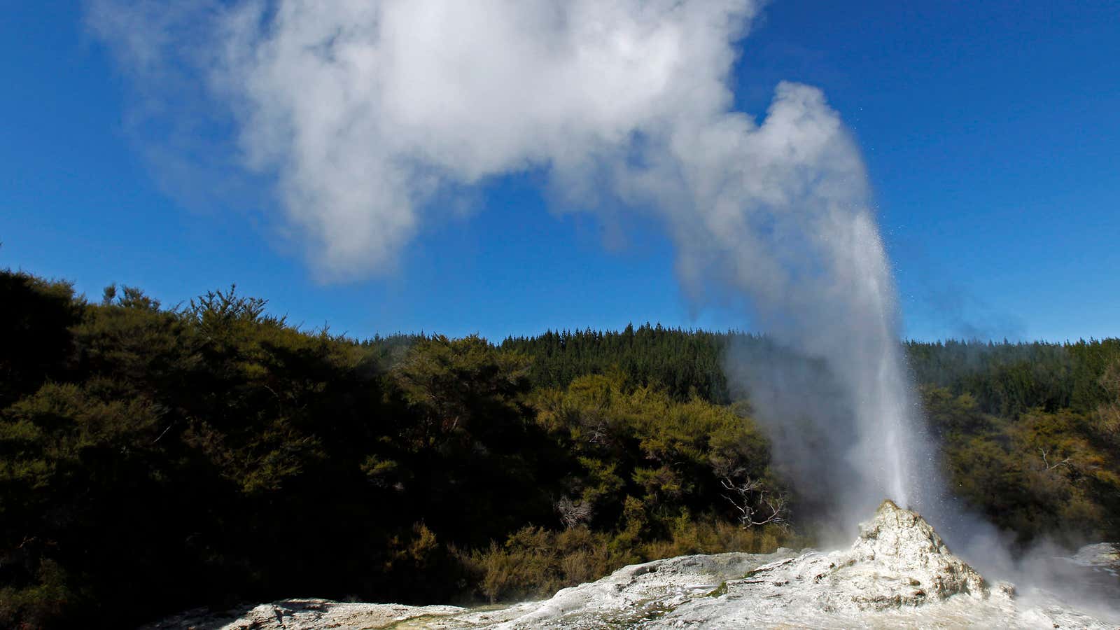 Kiwis are blowing their tops.