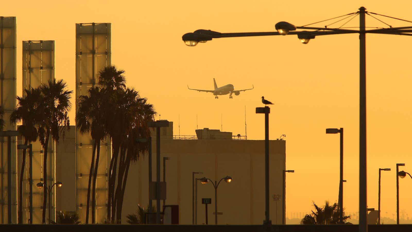 A jet approaches Los Angeles International Airport (LAX) where a Lebanese-American journalist was recently detained and ordered to turn over her cellphone.