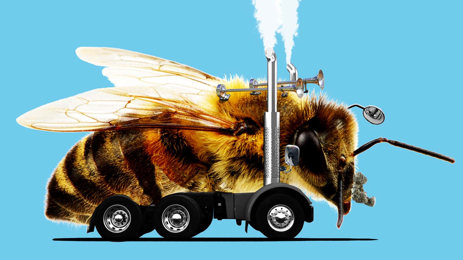 That Big Rig You're Passing Might Be Full of Bees