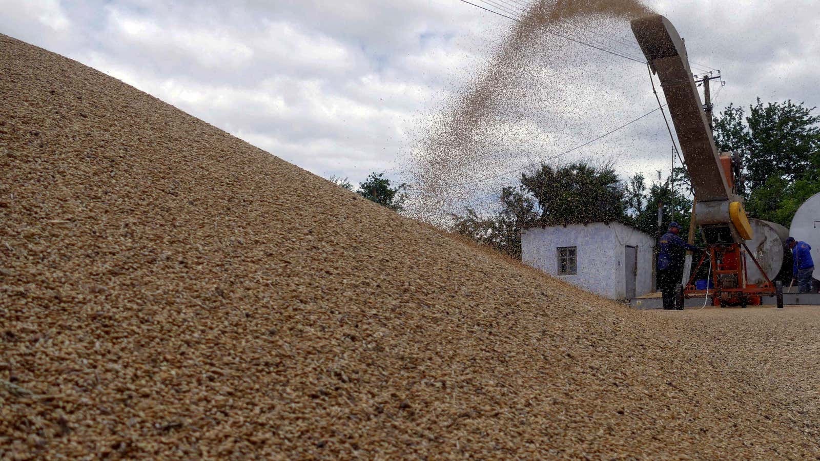 Workers storage grain at a terminal during barley harvesting in Odessa region, as Russia’s attack on Ukraine continues, Ukraine June 23, 2022.