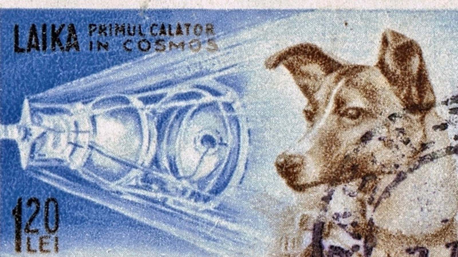 A Romanian stamp commemorating Laika, the Russian cosmonaut (1959).