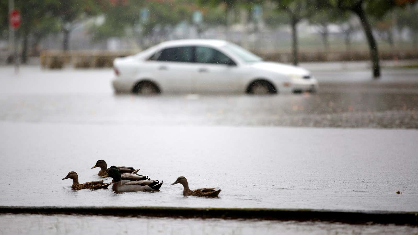 Preparing for rising waters.