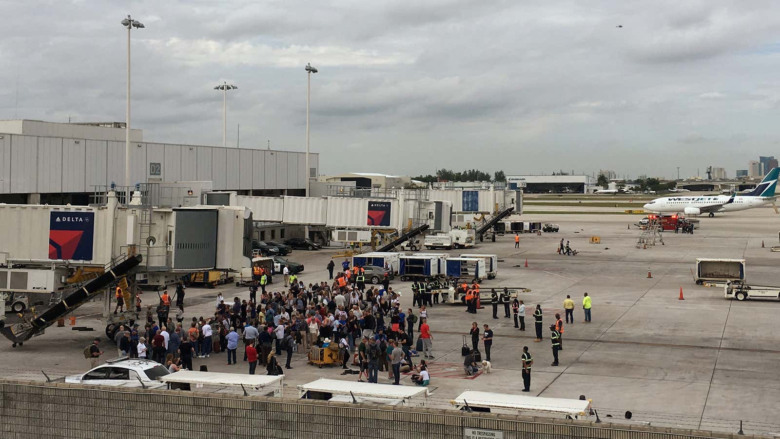 Airport chaos.