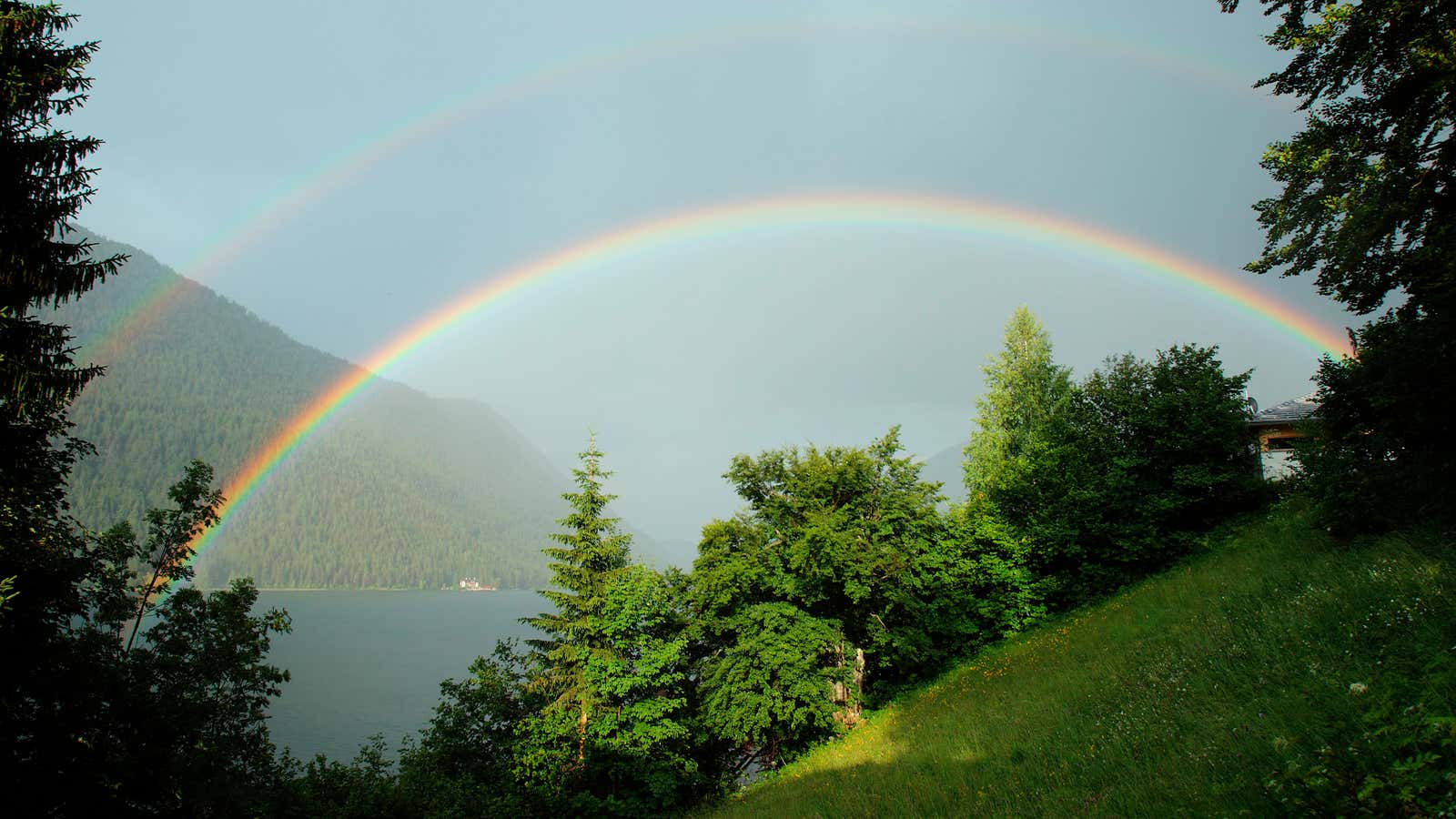 That feeling of awe you get when you see a rainbow? Coming from your brain.