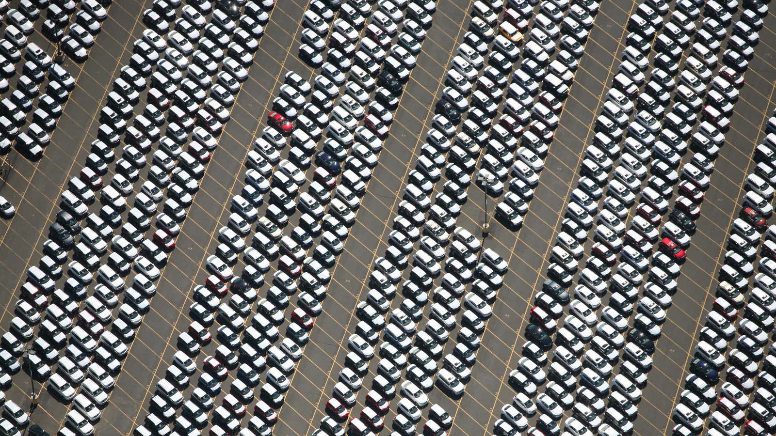 These imported cars in Port Newark weren’t destroyed by a Hurricane. Others were not so lucky.