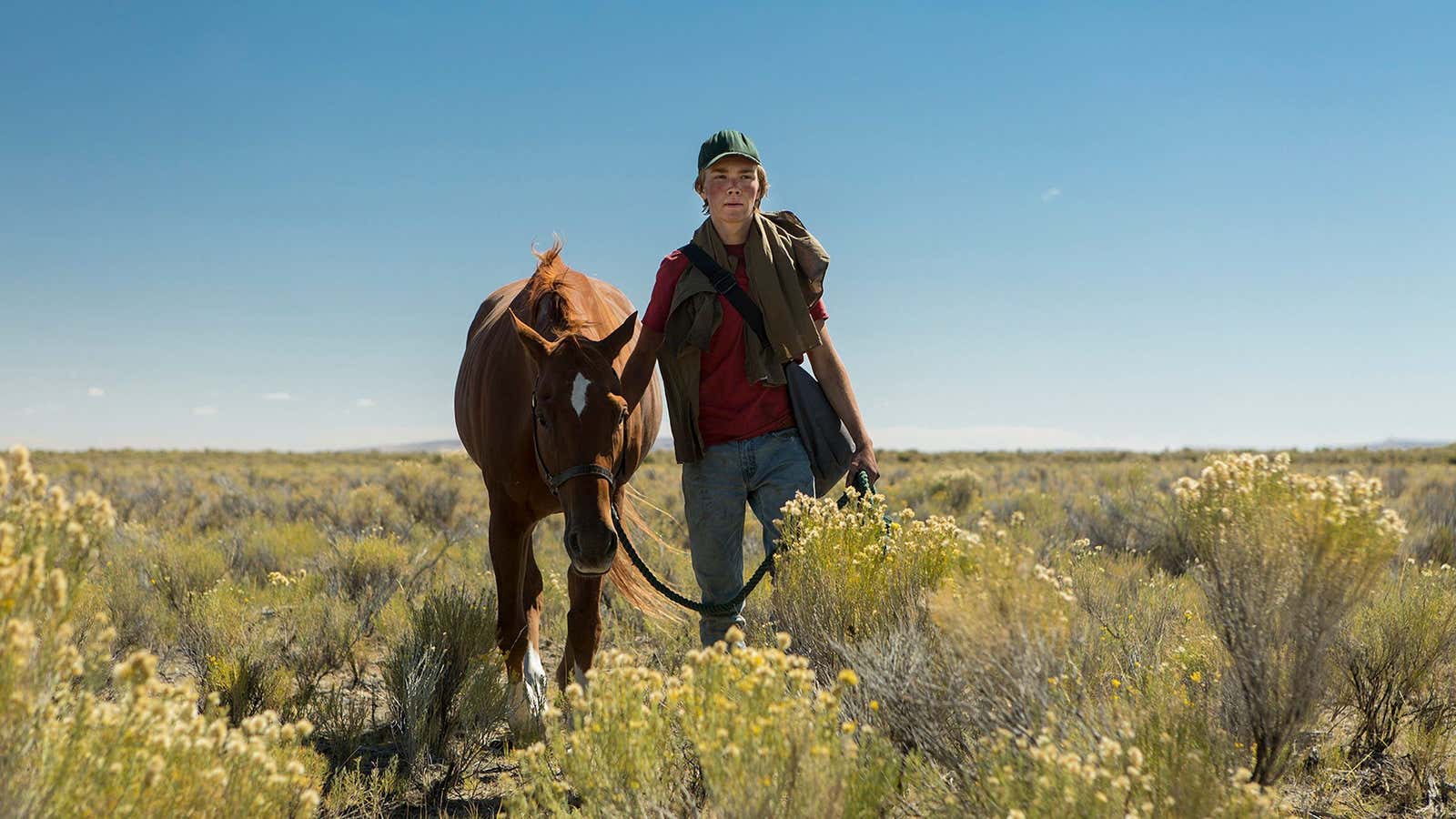 Transformation and redemption are common themes in films and books about humans and horses.