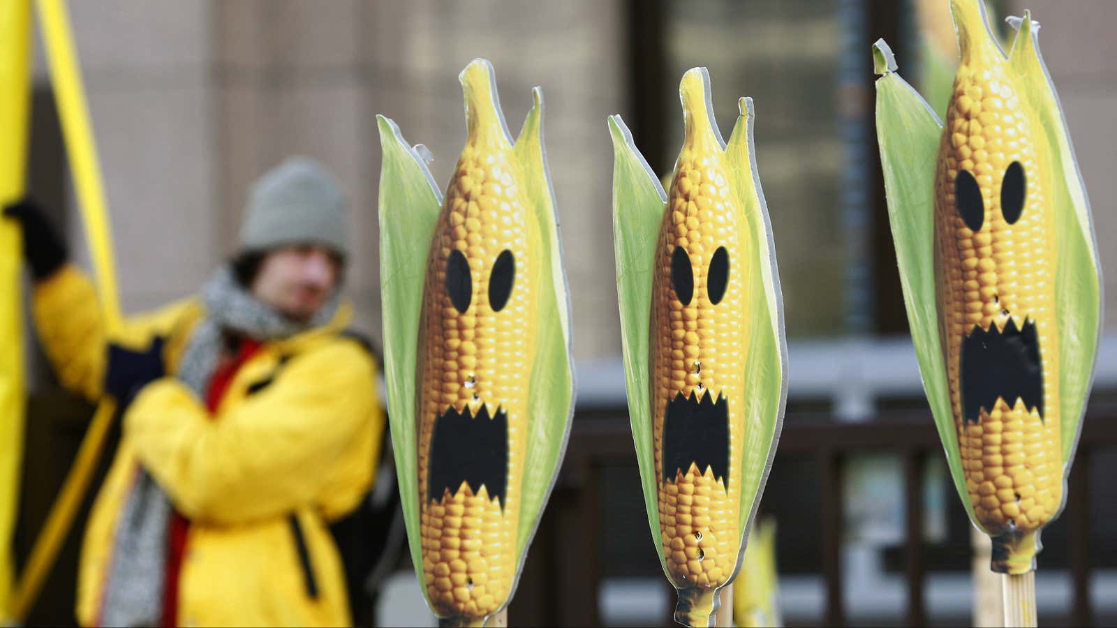 It’s all a maize.