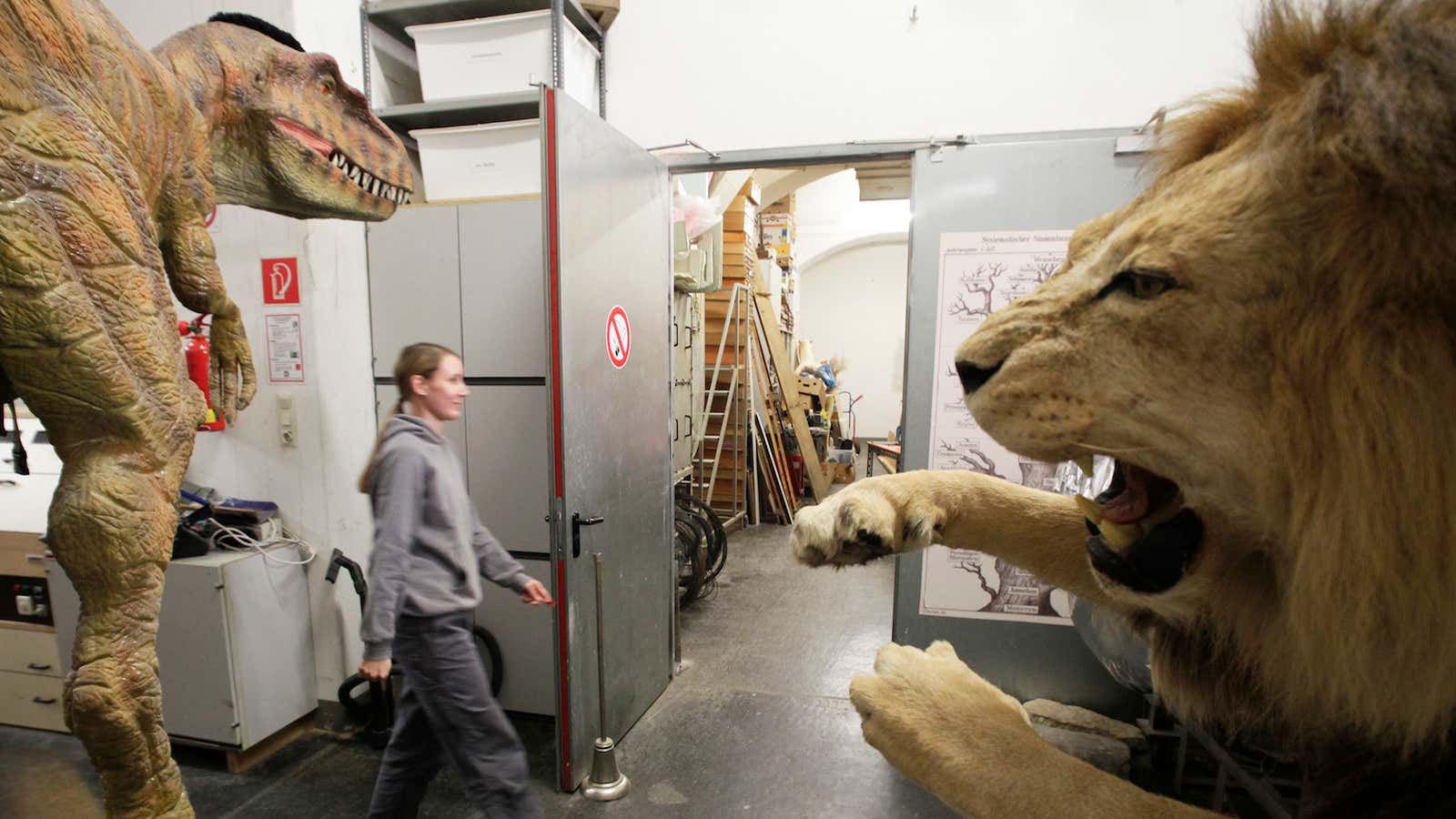 A taxidermist walks through the laboratory.