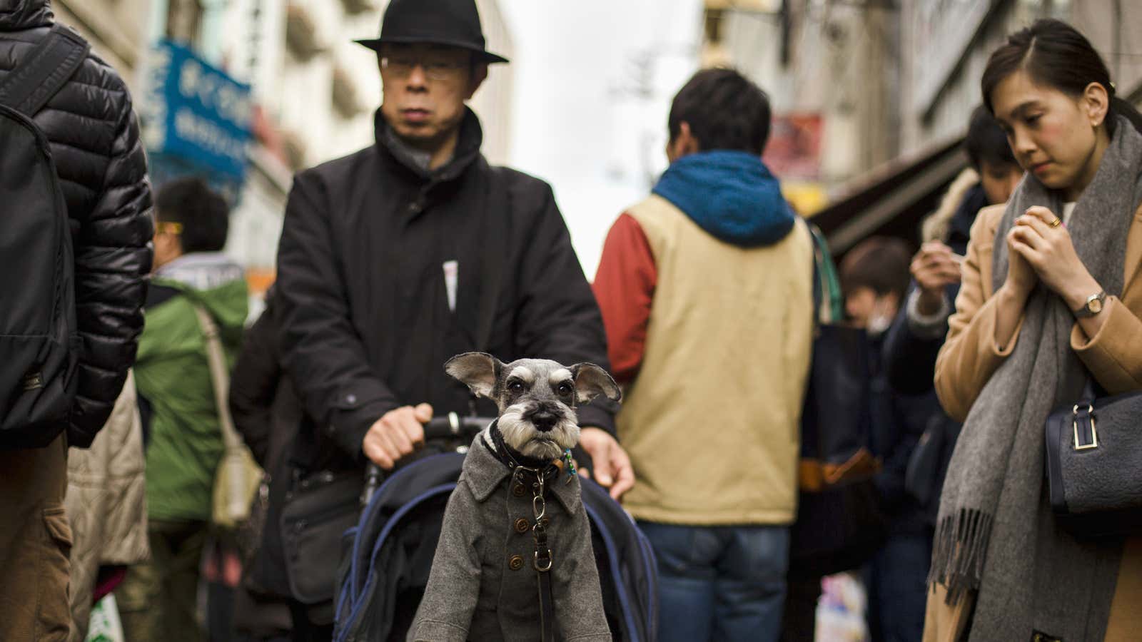 Will Japan's population shrink or swim?