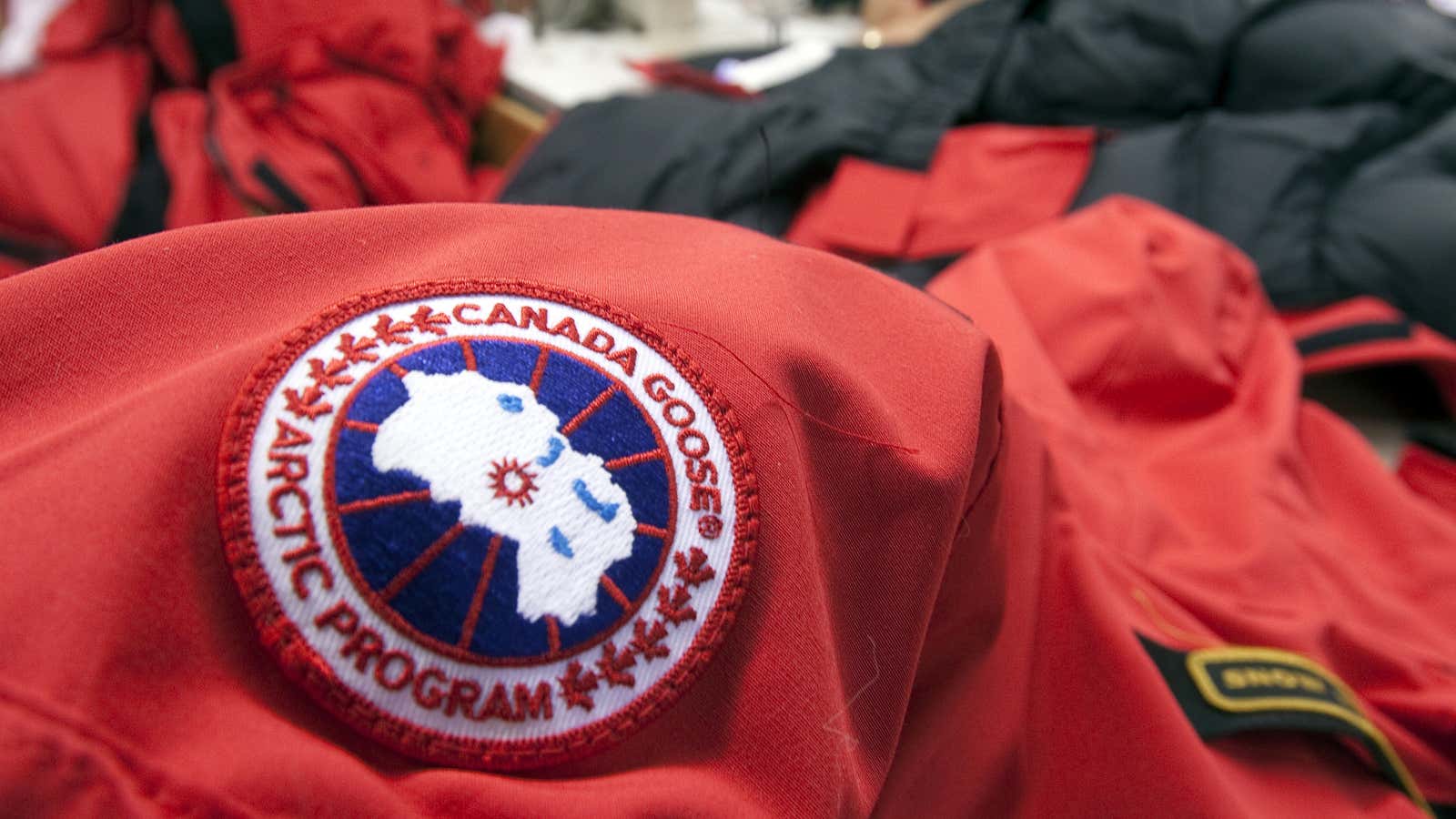 Canada goose ipo español sale