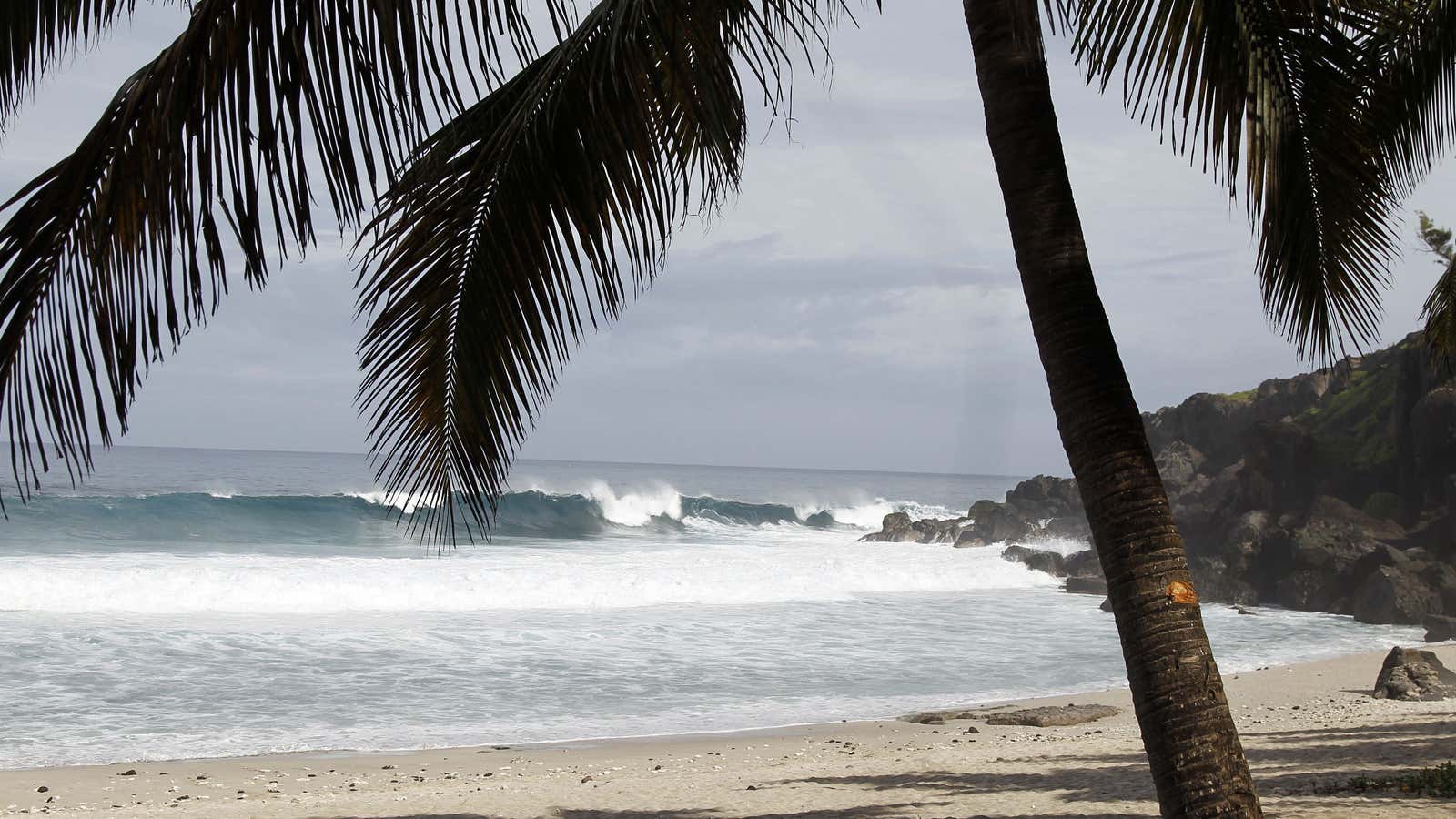 A beach on La Réunion—a new clue, or another false lead?