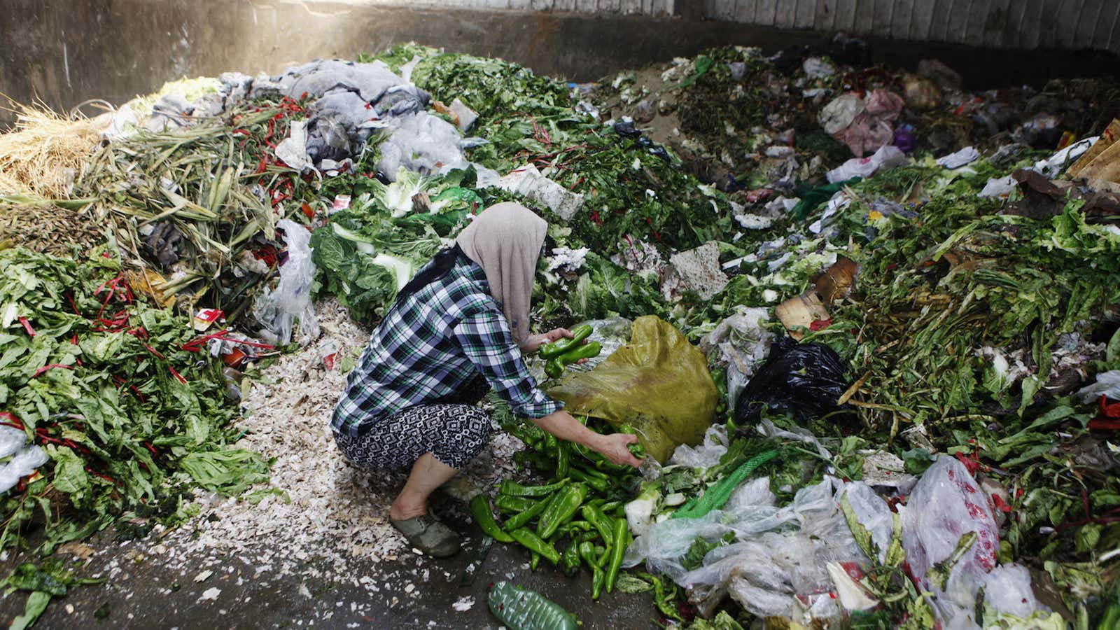 One-quarter of the world’s undernourished live in India.