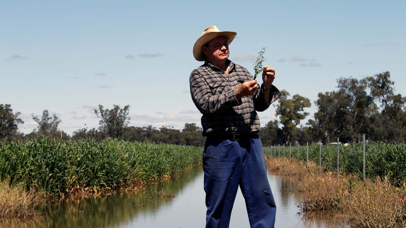 The agricultural upside to TPP.