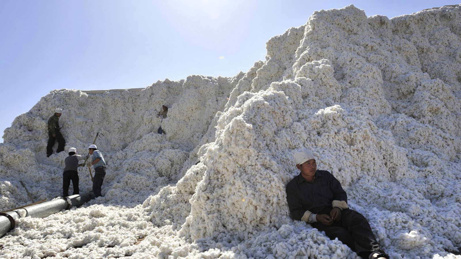 Why the Chinese government spent $33 billion on cotton that nobody wants