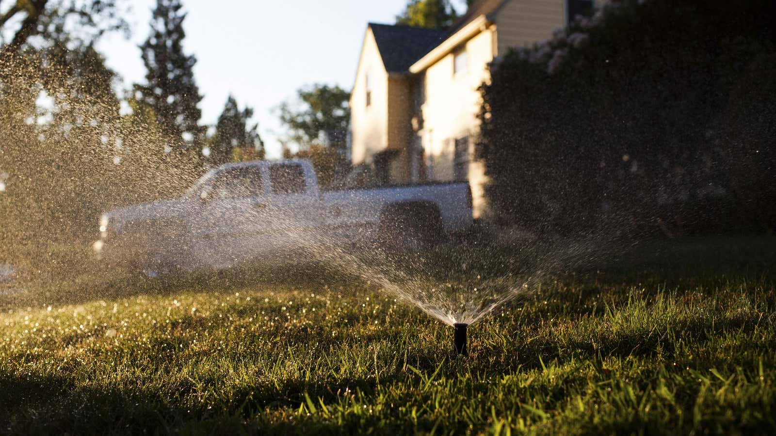 To keep their lawns green and their miniature ponies plump, some Californians are dodging the law.