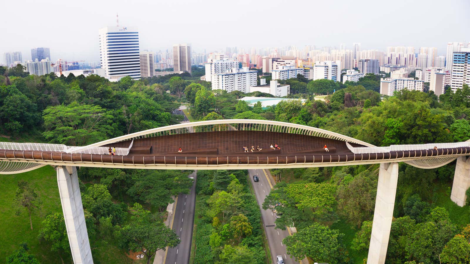 The Henderson Waves Bridge offers visitors a glimpse at contemporary design amidst urban green space. (Singapore Tourism Board)