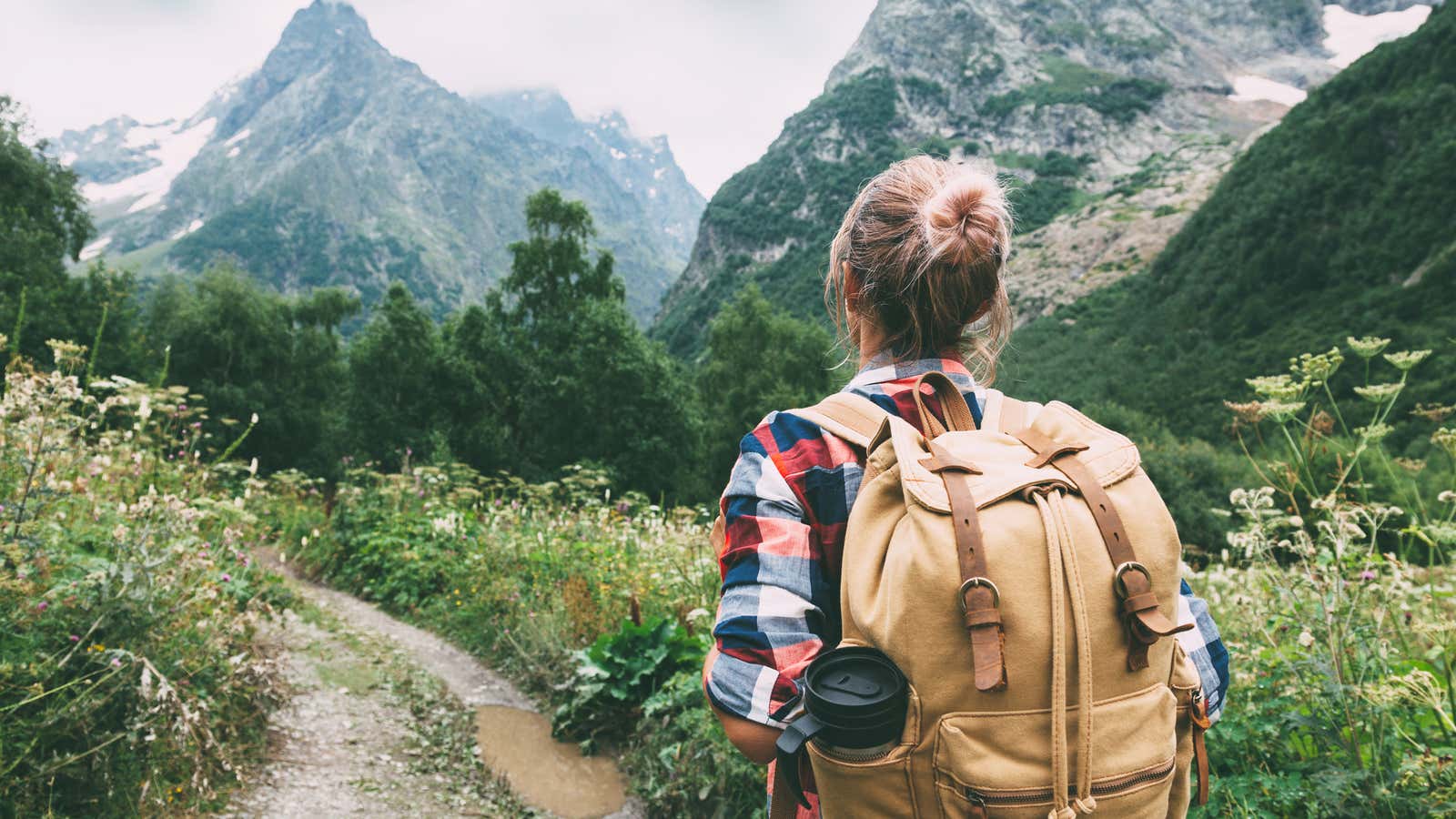 Anyone can walk down the path to financial wellness, but can you do so in such a pretty meadow?