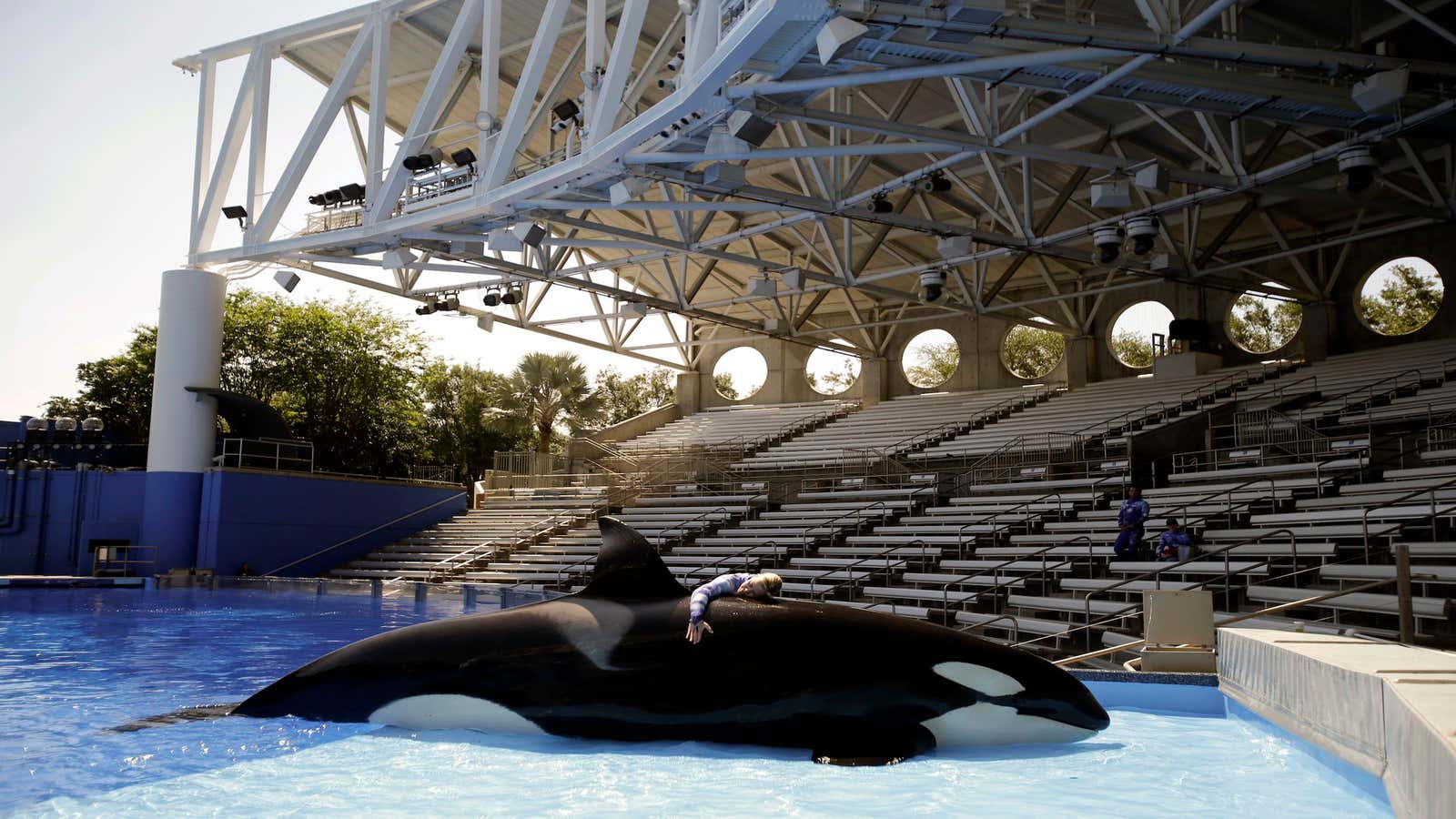 SeaWorld’s stock got soaked.