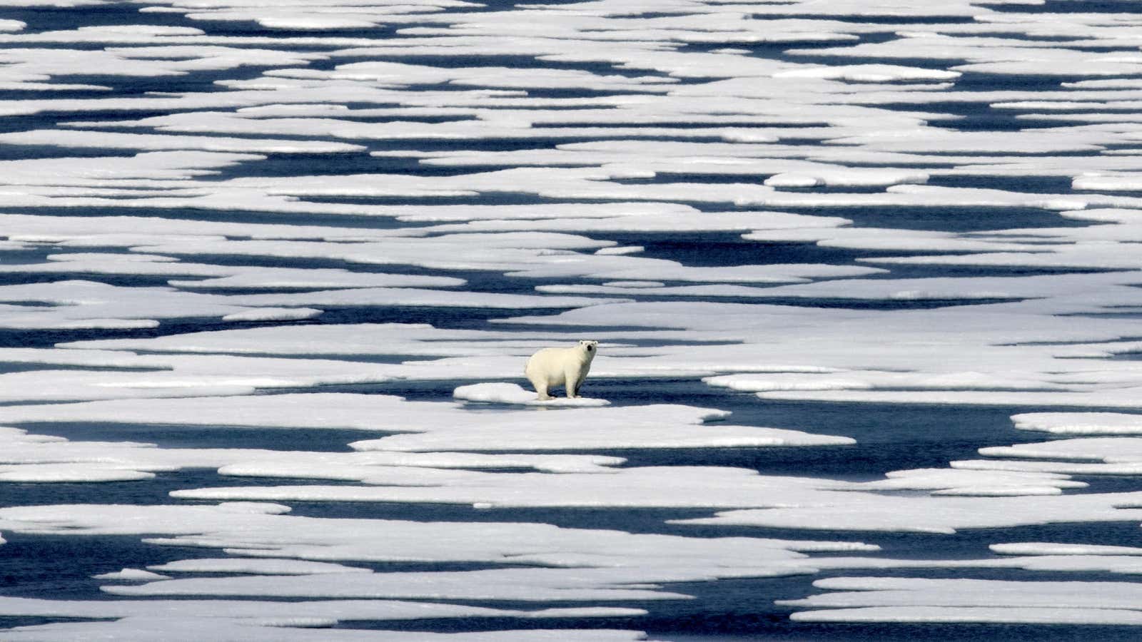 Thick, stable sea ice is becoming a thing of the past.