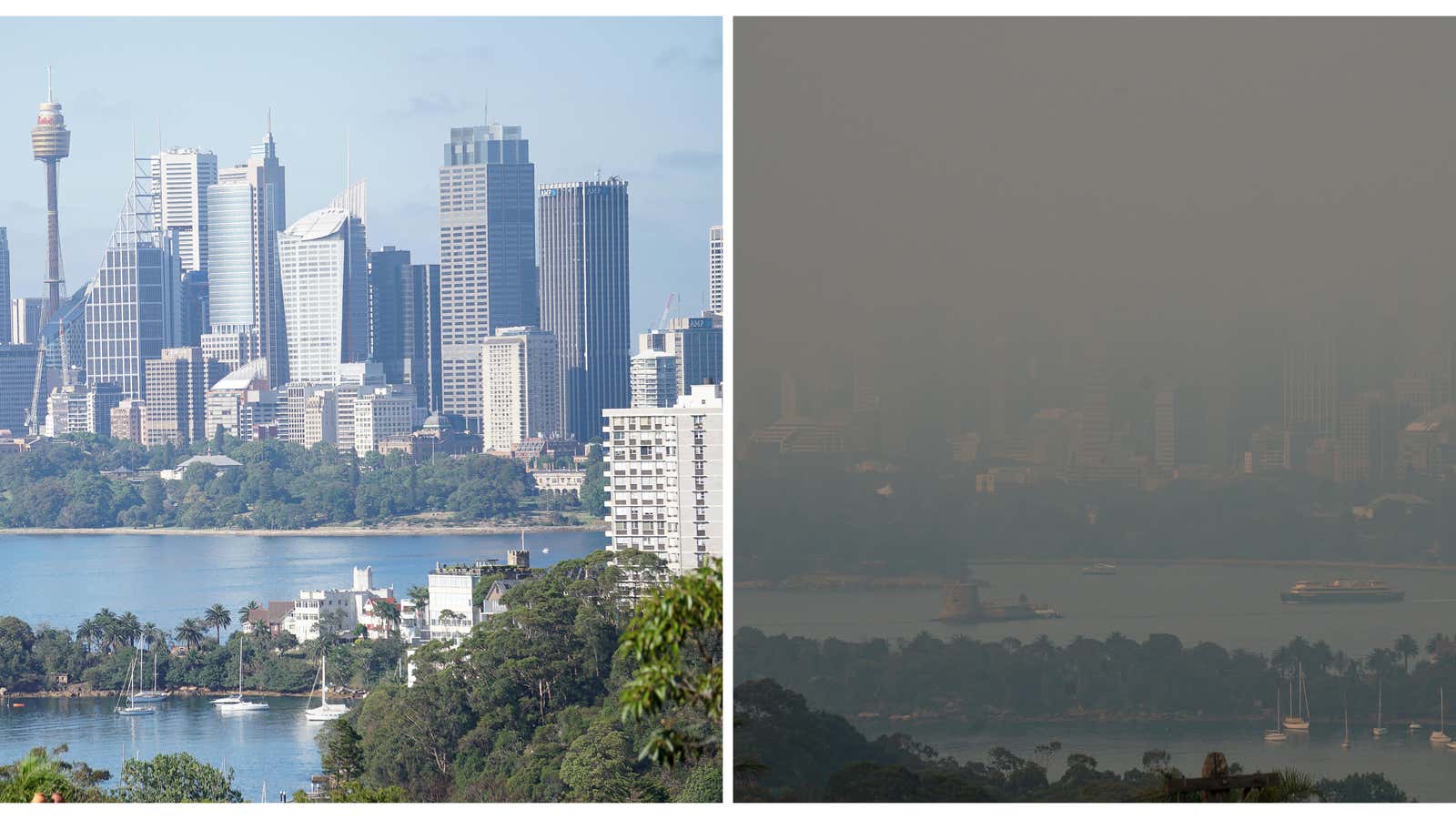 Sydney is feeling a bit less livable of late.