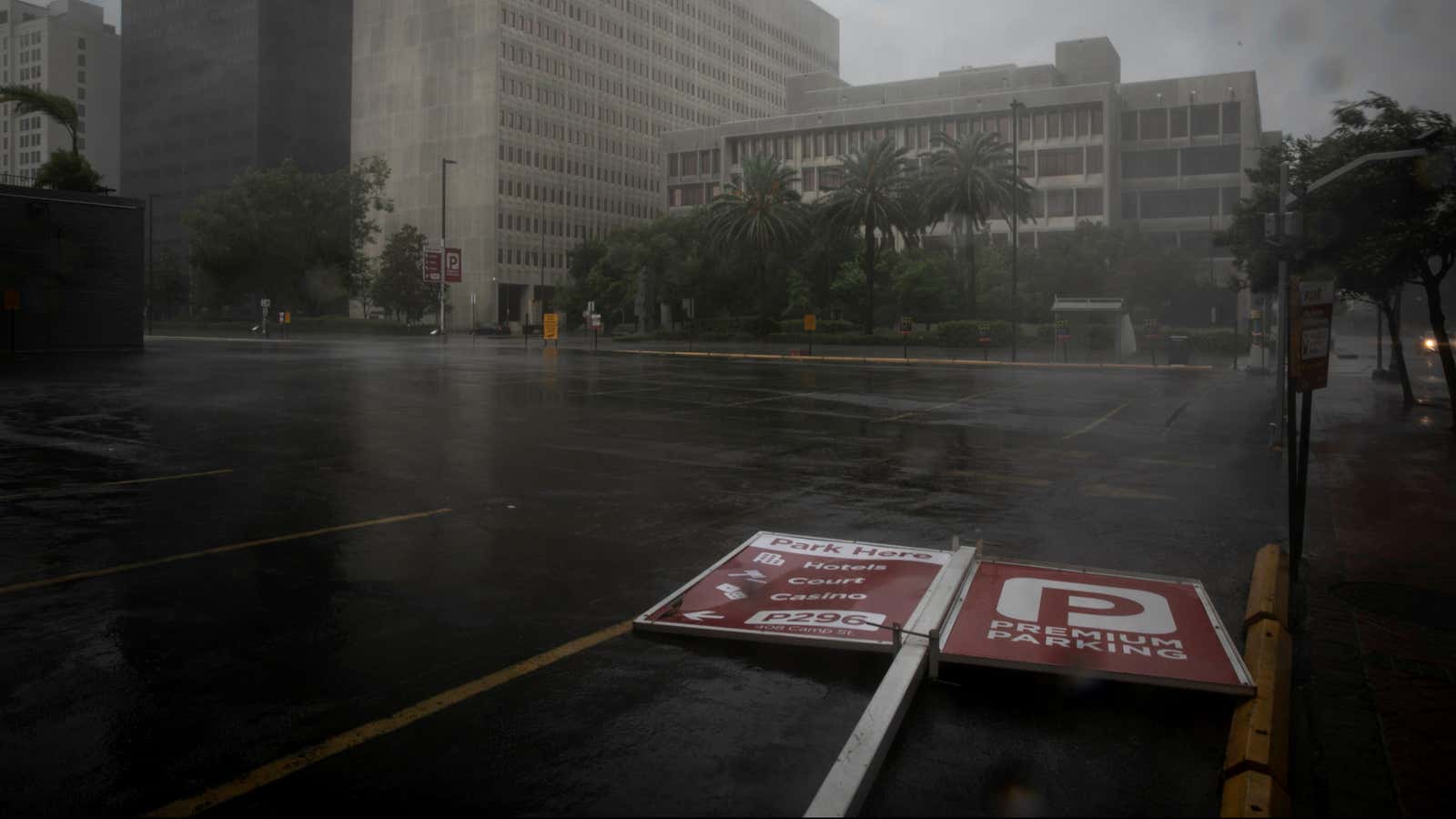 Hurricane Ida turned into a monster thanks to a giant warm patch in the Gulf of Mexico.