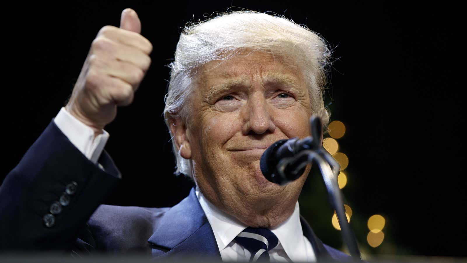 President-elect Donald Trump speaks during a rally at the Wisconsin State Fair Exposition Center, Tuesday, Dec. 13, 2016, in West Allis, Wis. (AP Photo/Evan Vucci)