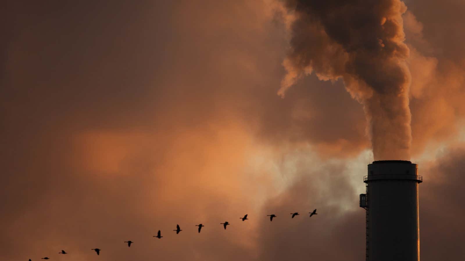 (AP Photo/Charlie Riedel)