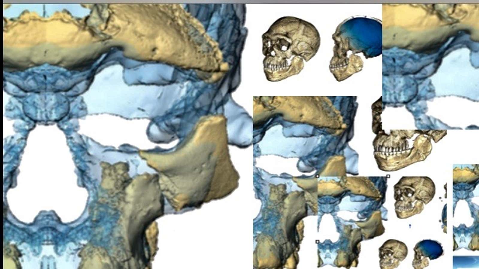 Fossils of Homo sapiens found in Morocco push back the origins of ...