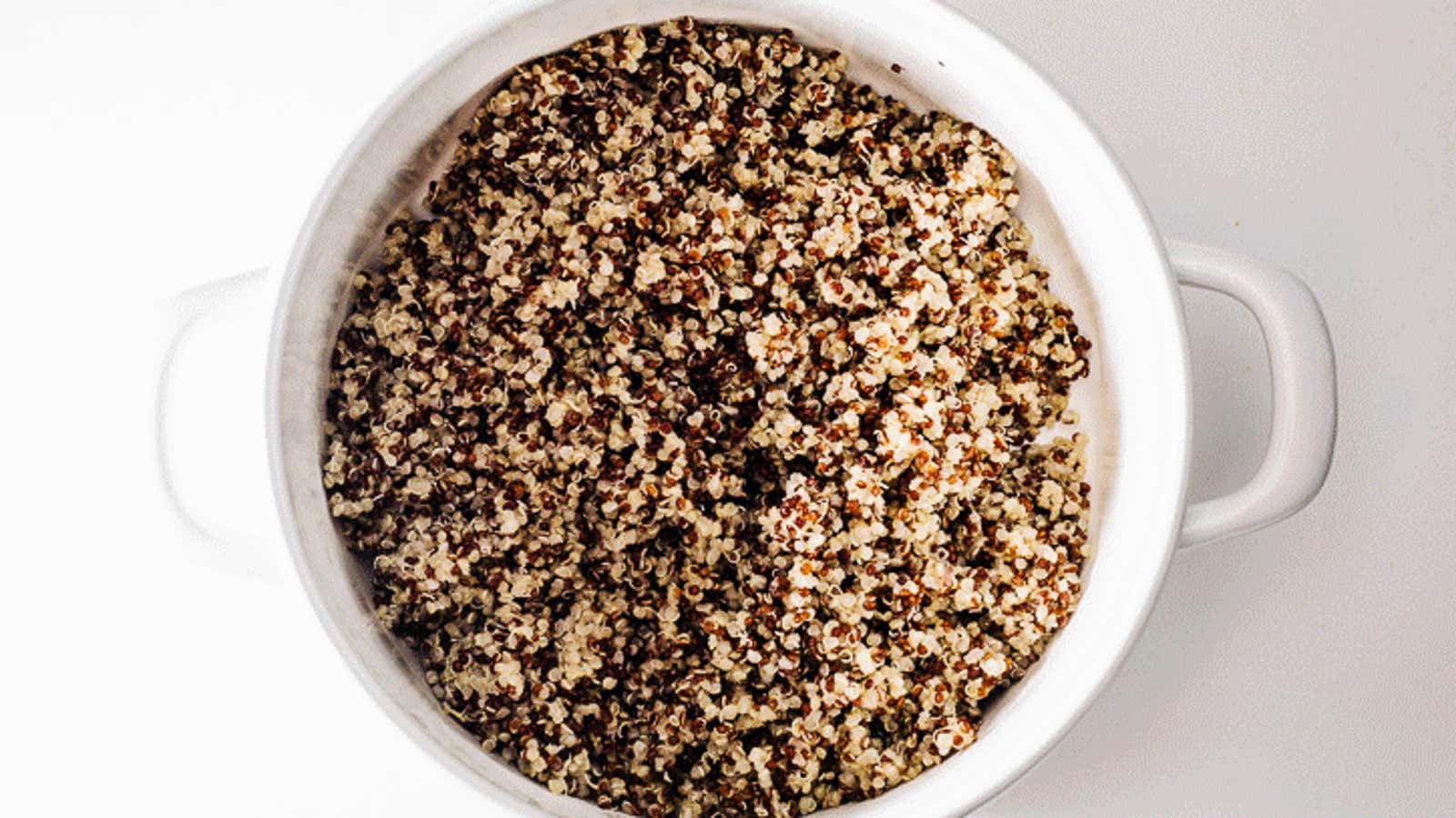 Quinoa