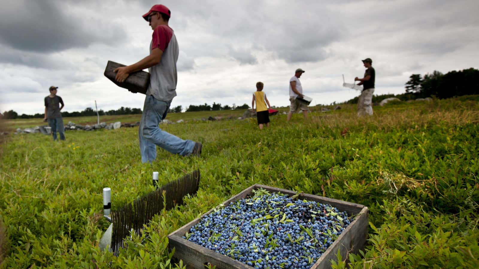 Farming = freedom.