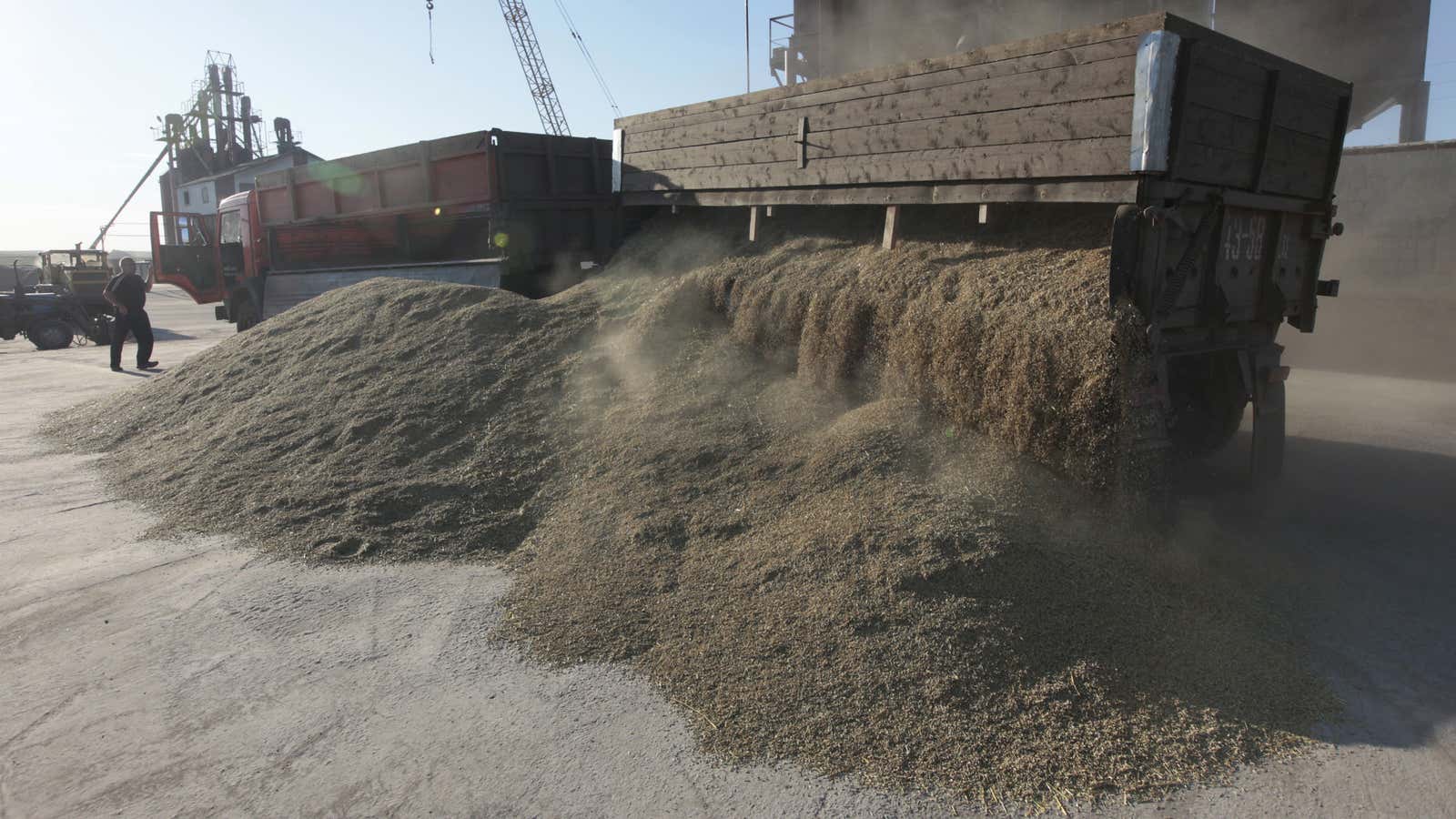 Backing up the truck, in Russia’s oat-growing heartland in southern Siberia.