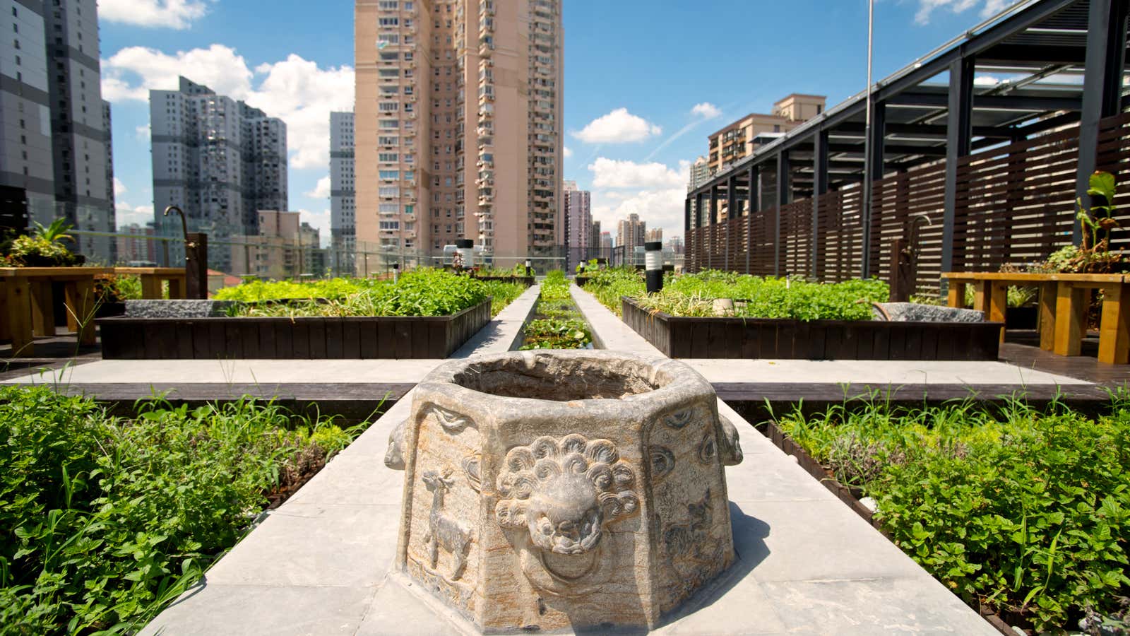 A V-Roof garden in Shanghai