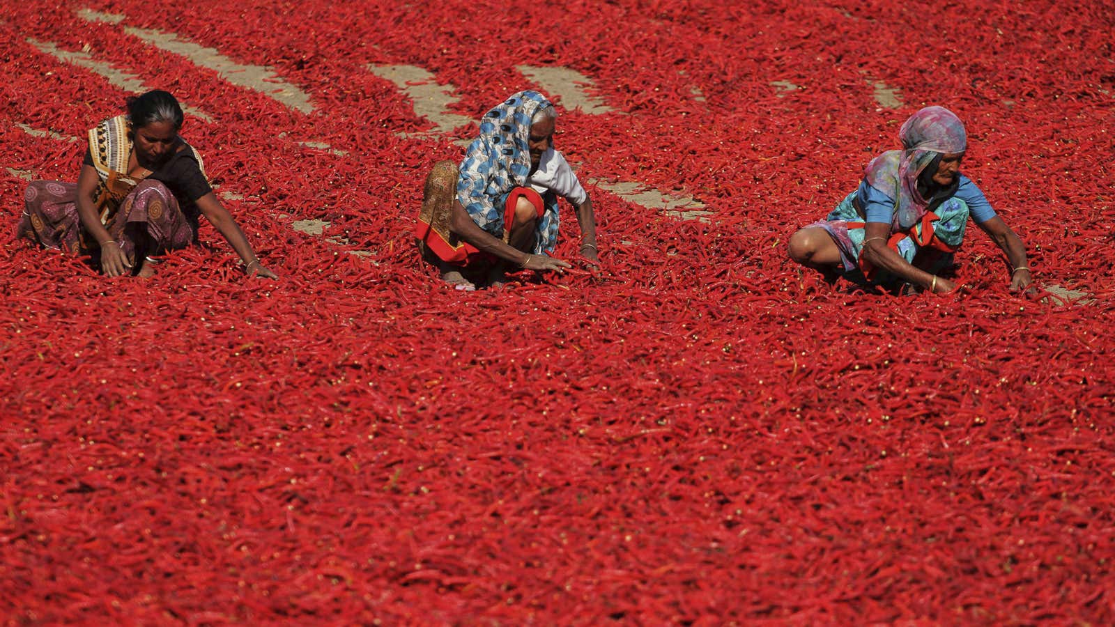 There’s more work waiting at home for these women in Gujarat.