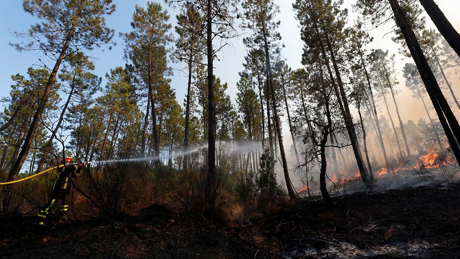 Daily Brief：止まぬ南仏の山火事